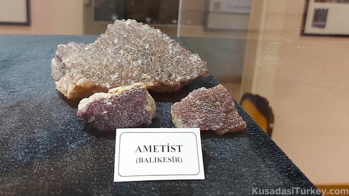 Kusadasi Fossil Museum