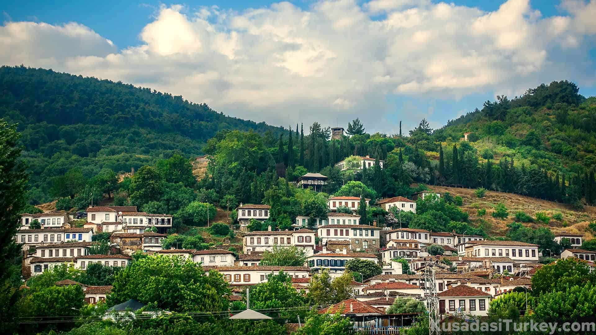 Private Aegean Villages Tour: Kirazli, Camlik, and Sirince, Izmir - TURQUIA