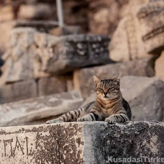 Noteworthy Archaeological Finds in Ephesus