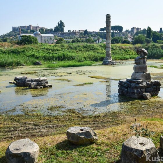 Chasing Shadows: A Tale of Glorious Temple of Artemis