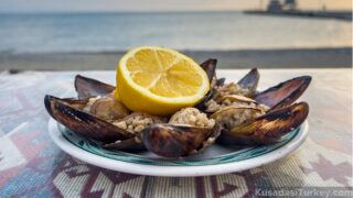 Exploring the Delights of Street Food in Kusadasi Exploring the Delights of Street Food in Kusadasi